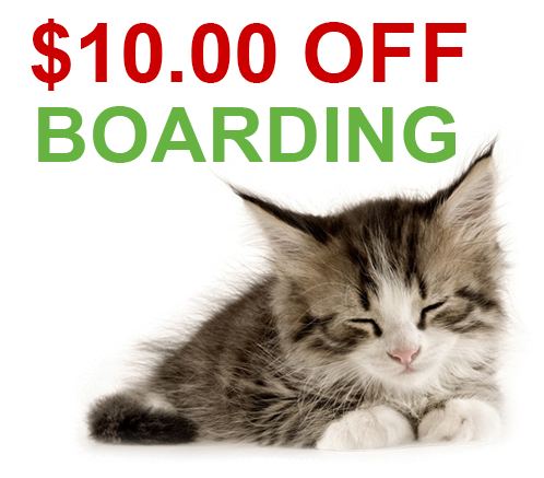 $10.00 Off Boarding - Ash Veterinary Clinic