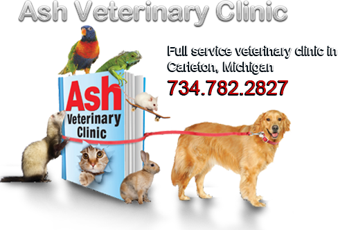 Ash Veterinary Clinic