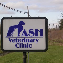 Ash Veterinary Clinic